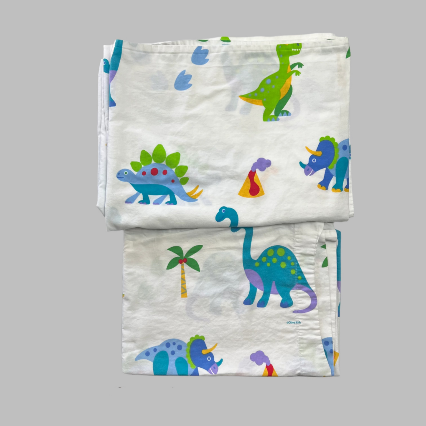 Olive Kids Dinosaur Land Twin Flat Sheet with Pillowcase