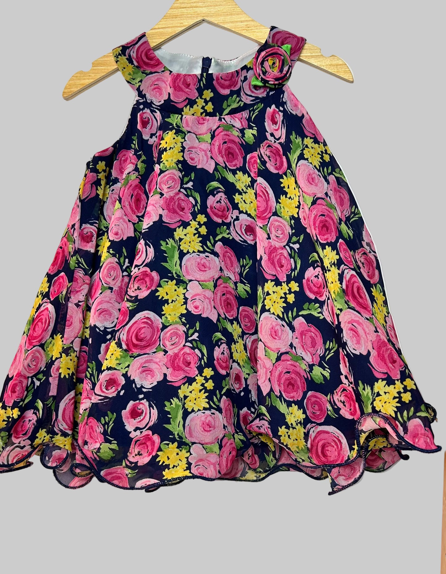 American Princess Dress 18M