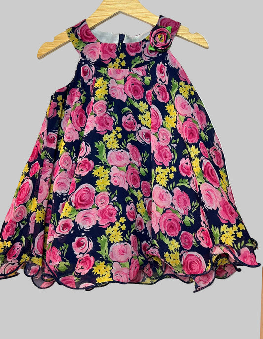 American Princess Dress 18M